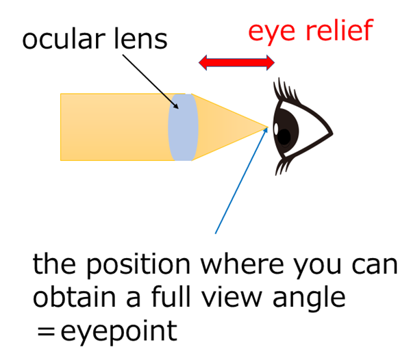 Glossary Of Binoculars: Eye Relief