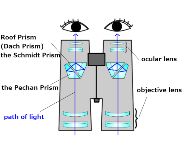 How Roof Prism Binoculars Work